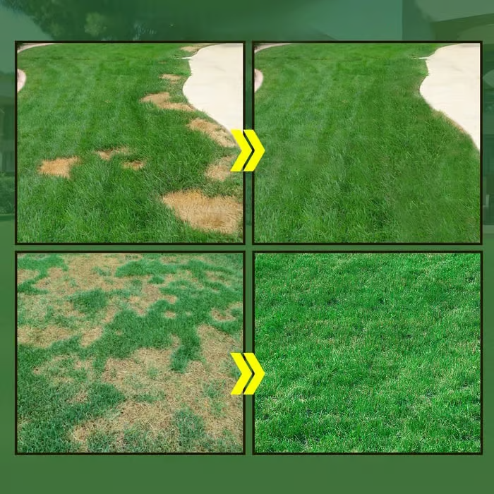 đ„Last Day 70% OFFđ±Hydro Seeding Lawn Solution