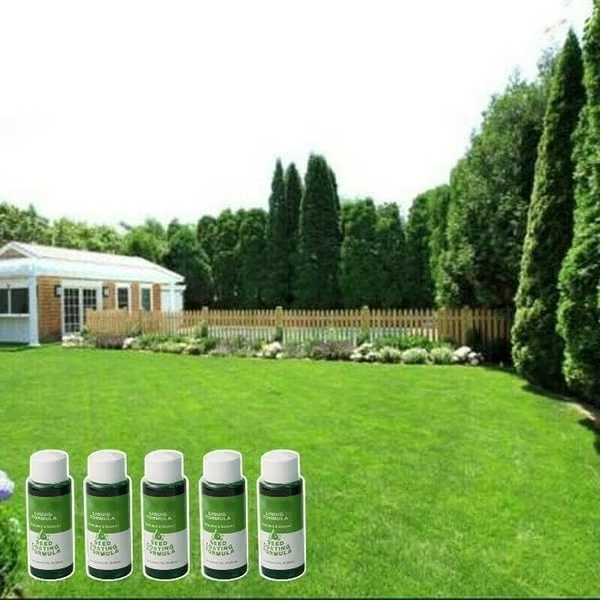 đ„Last Day 70% OFFđ±Hydro Seeding Lawn Solution