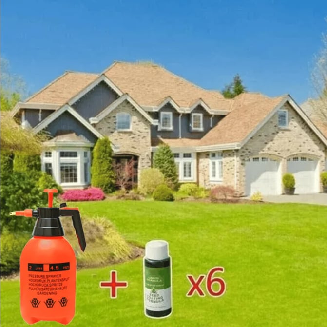 đ„Last Day 70% OFFđ±Hydro Seeding Lawn Solution